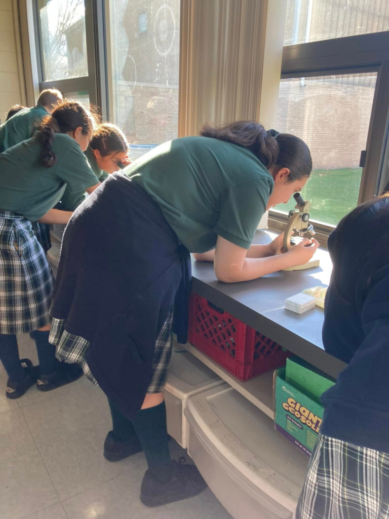 Students use hands-on learning in science class using microscopes.